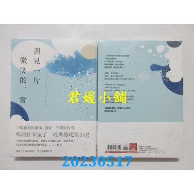 空运版  盖亚小说  遇见一片微笑的，雪  作者： 星子(全新)